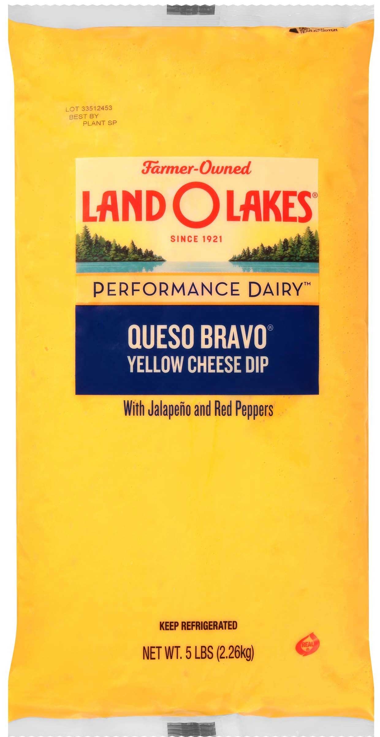 Land O Lakes Queso Bravo Queso Cheese Dip, 5 Pound -- 6 per case.