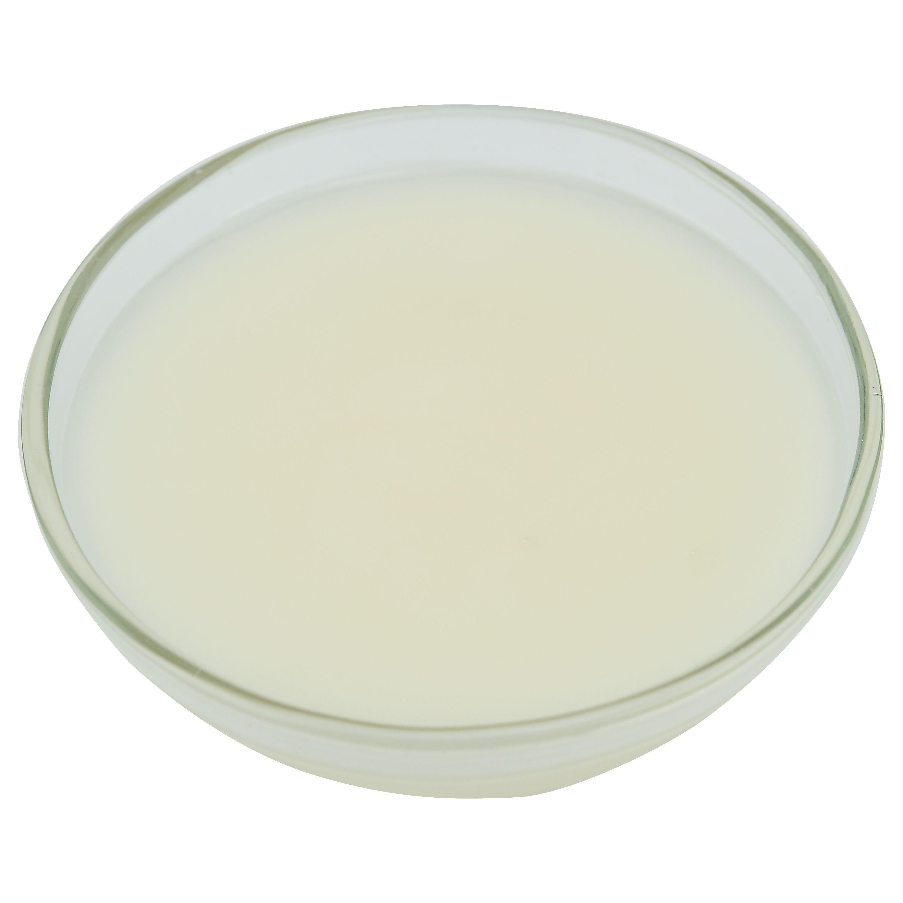 Product gallery 1547570