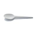 Kitch 24/7 Compostable Plastic White Spoons, 6 inch -- 1000 per case