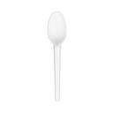 Responsible Products Compostable White Spoon, 6.5 inch -- 1000 per case