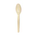 StrawFish Natural Medium Weight Biodegradable Spoon, 6 inch -- 1000 per case