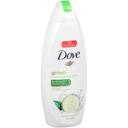 Dove Cool Moisture Body Wash, 22 Fluid Ounce -- 4 per case