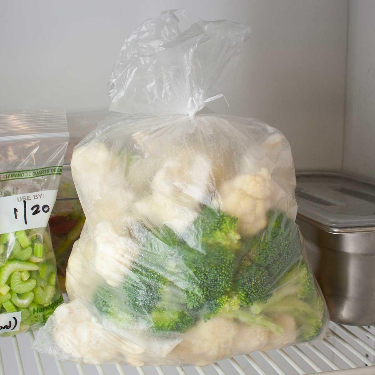 Product gallery 1353159