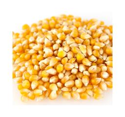 Product thumb gallery 3577994