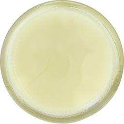 Product thumb gallery 4038321