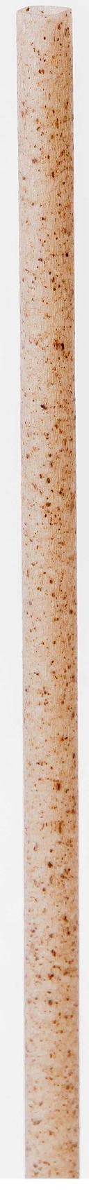 Greenprint Agave Natural Unwrapped Jumbo Straw, 8.27 inch -- 1500 per case