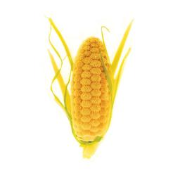 Product thumb gallery 4026411