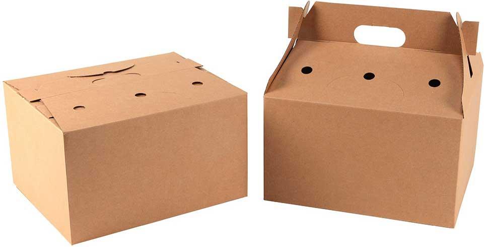 Product gallery 2486602