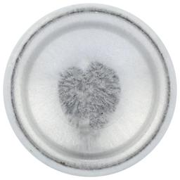 Product thumb gallery 311042765