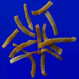 Product thumb gallery 702352739