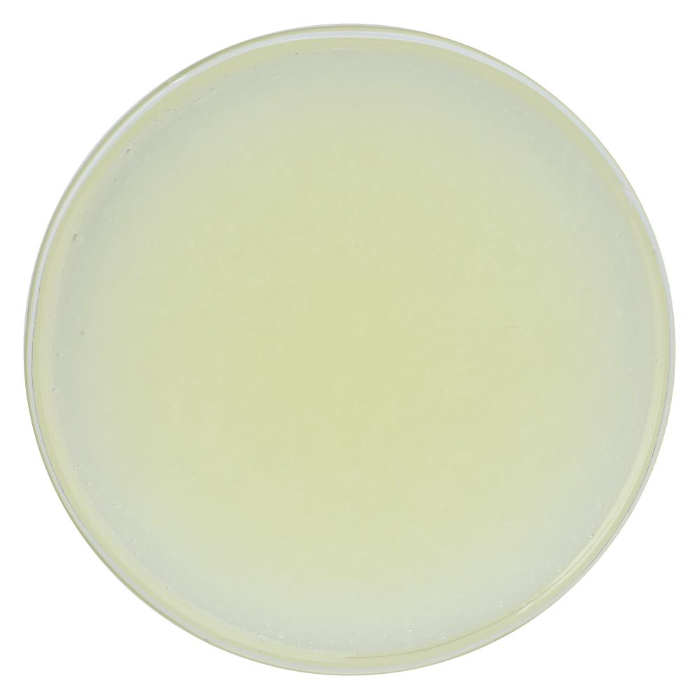 Product gallery 2909779