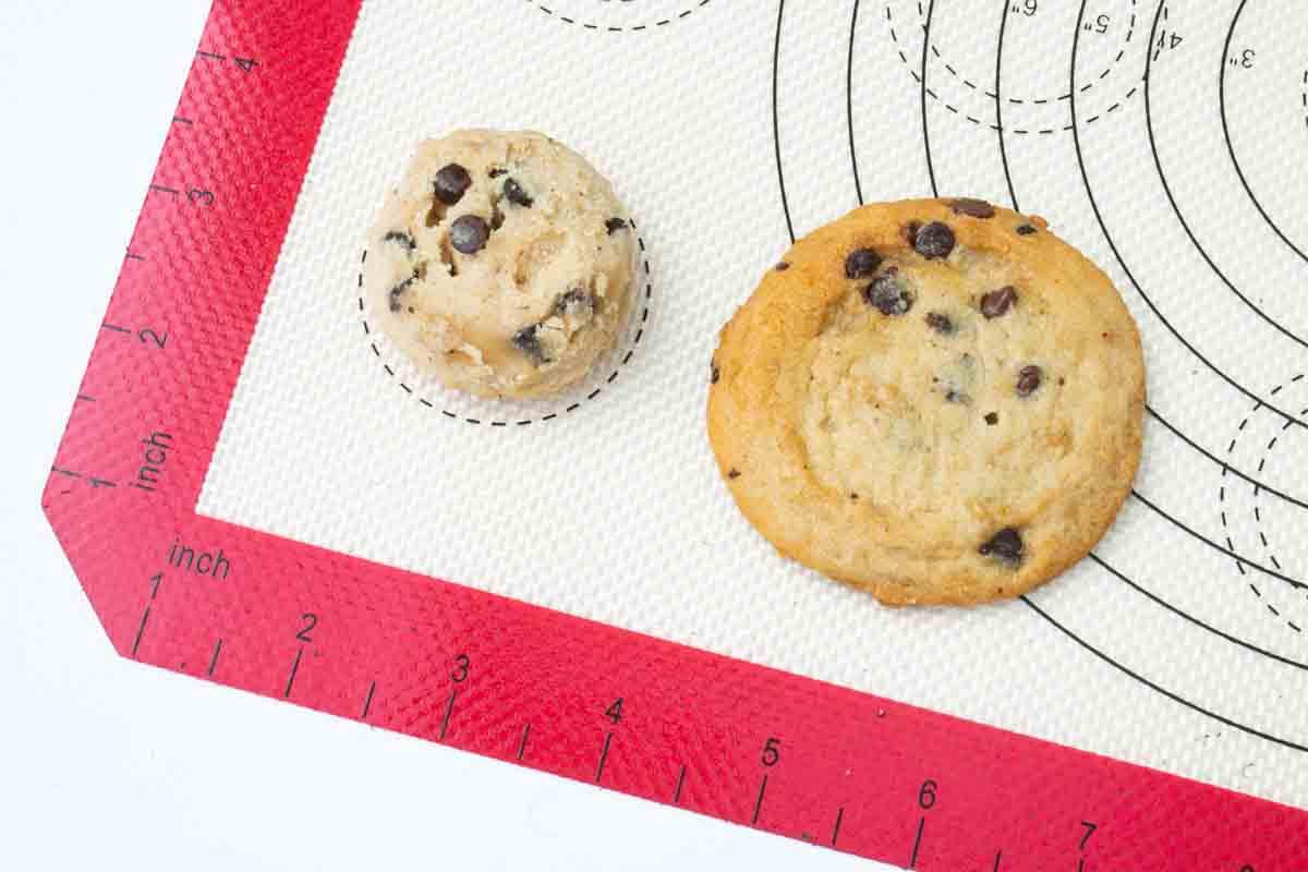 Product gallery 3561350