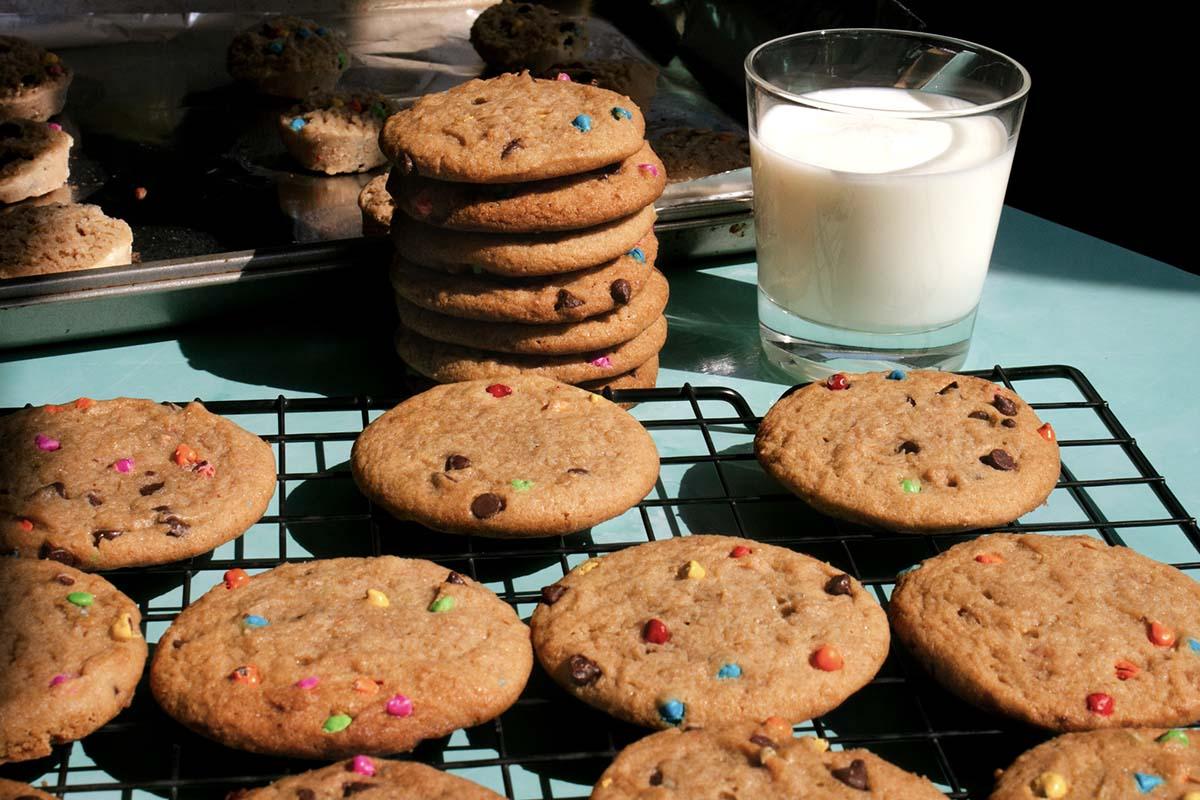 Product gallery 3337615