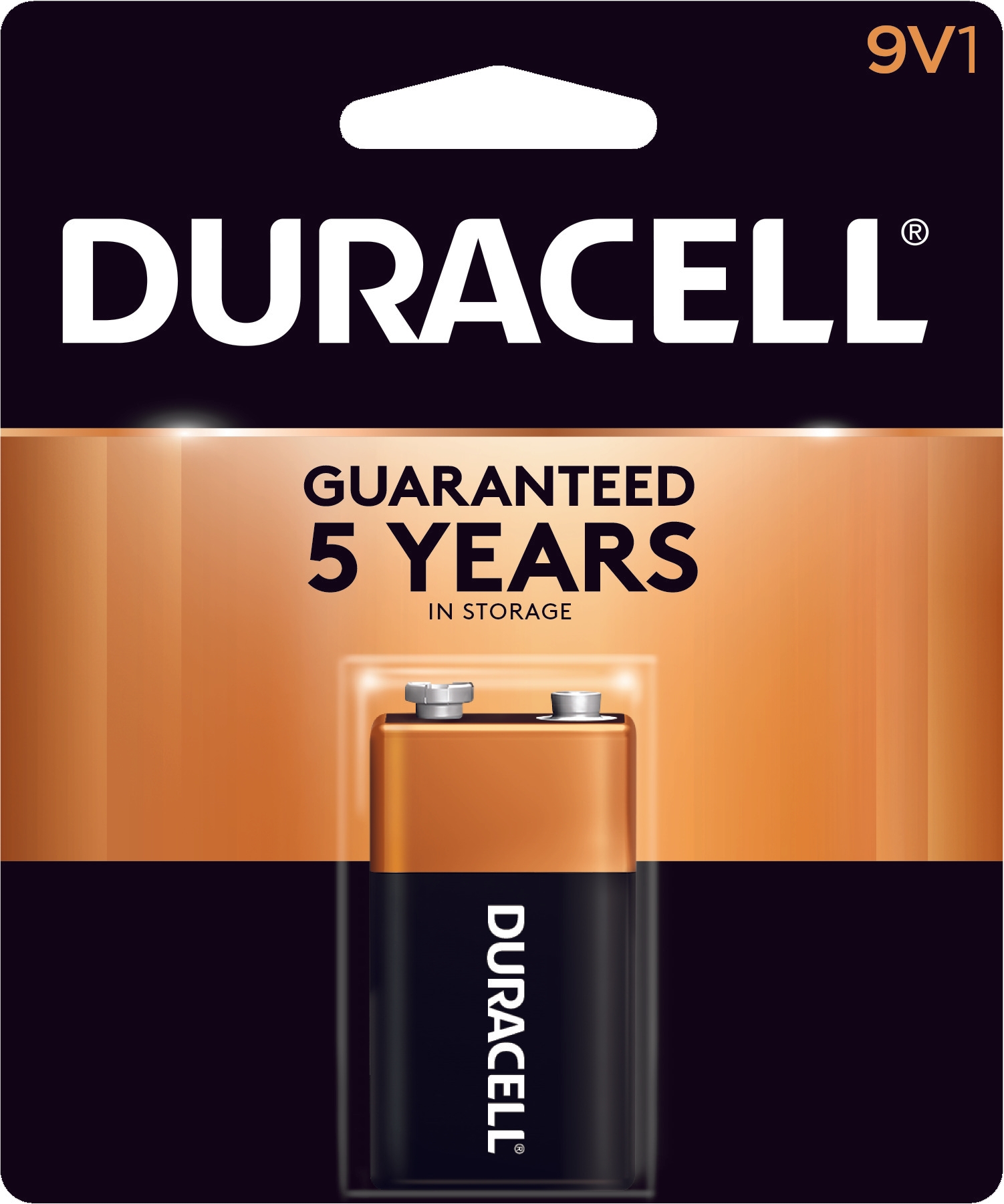 Duracell 9V Size Coppertop Duracell Battery, 9 Volt -- 48 per case.