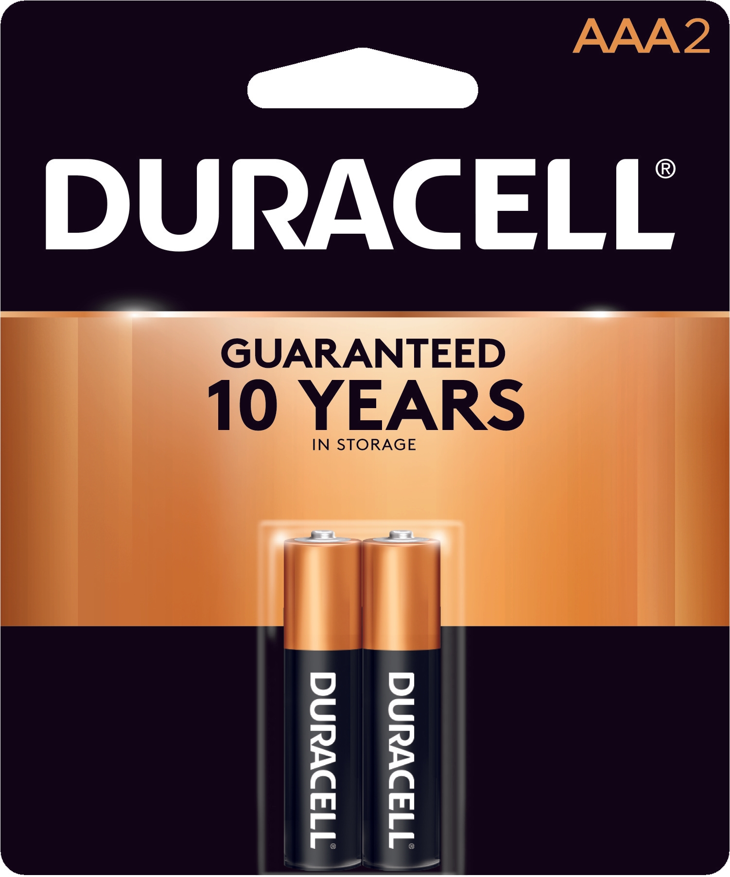 Duracell AAA Size Coppertop Duracell Battery, 1.5 Volt -- 108 per case.